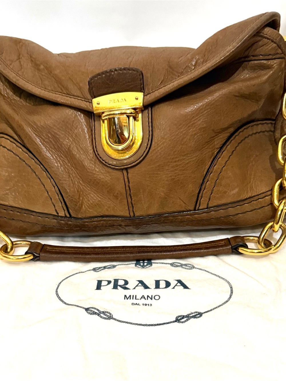 Prada Pietra Deerskin Cervo Shine Slouchy Hobo Bag w/ Gold Chain Hardware (Rare)